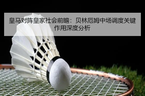 img_1779553001355_3305_1_857.jpg