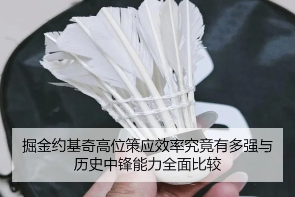 掘金约基奇高位策应效率究竟有多强与历史中锋能力全面比较