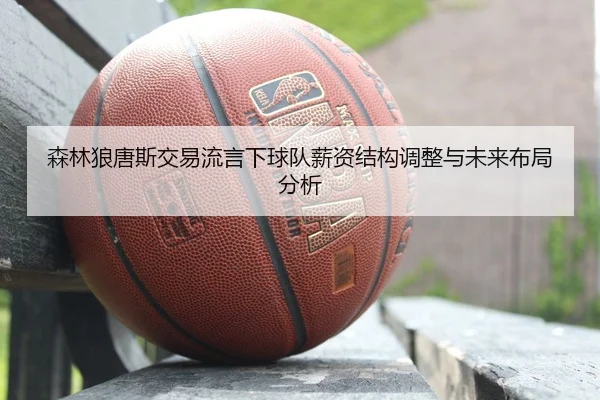 森林狼唐斯交易流言下球队薪资结构调整与未来布局分析
